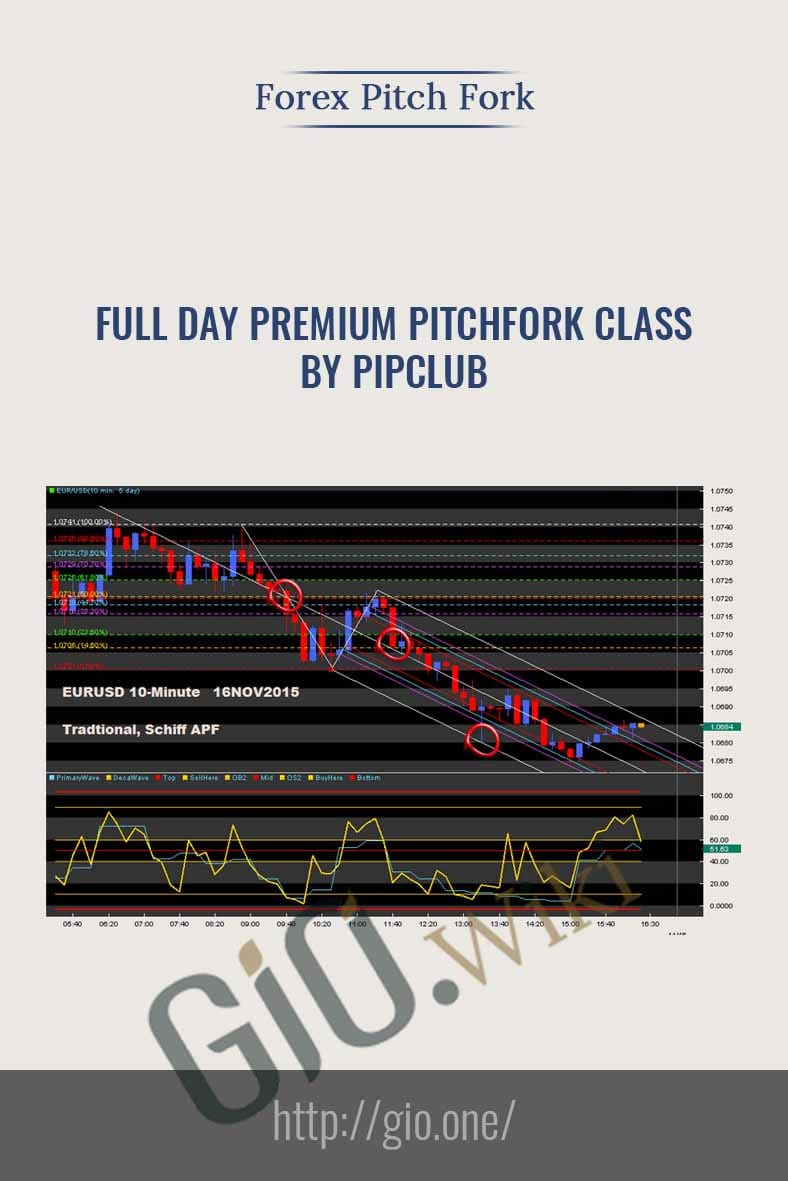 Full Day Premium Pitchfork Class by PipClub - Forex Pitch Fork