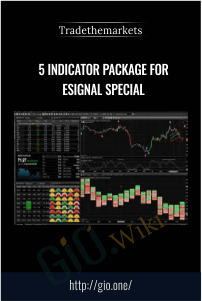 5 Indicator Package For eSignal Special – Tradethemarkets