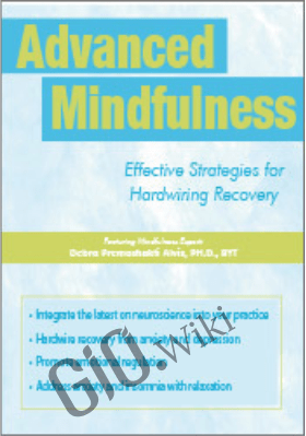 Advanced Mindfulness: Effective Strategies for Hardwiring Recovery - Debra Premashakti Alvis
