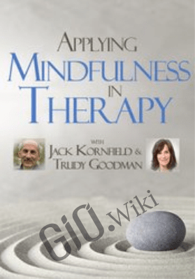 Applying Mindfulness in Therapy with Jack Kornfield and Trudy Goodman - Jack Kornfield &  Trudy Goodman