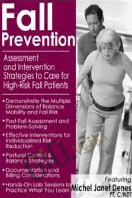 Fall Prevention: Assessment and Intervention Strategies to Care for High-Risk Fall Patients - Michel Janet (Shelly) Denes