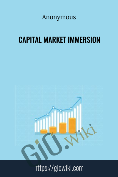 Capital Market Immersion