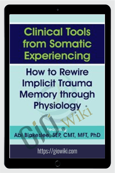 Clinical Tools from Somatic Experiencing: How to Rewire Implicit Trauma Memory through Physiology - Abi Blakeslee