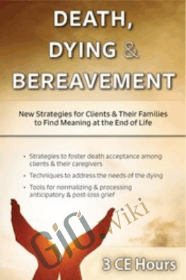 Death, Dying & Bereavement: New Strategies for Clients & Their Families to Find Meaning at the End of Life - Ligia M Houben