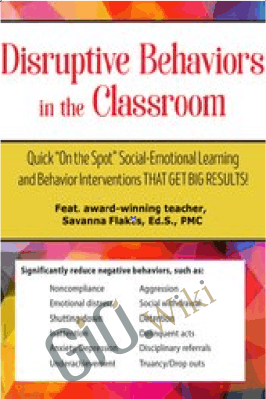 Disruptive Behaviors in the Classroom: Quick "On the Spot" Social...- Savanna Flakes