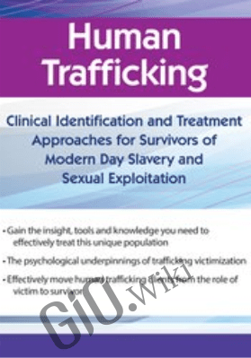 Human Trafficking: Clinical Identification and Treatment Approaches for Survivors of Modern Day Slavery and Sexual Exploitation - Shari Kim