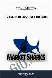 MarketSharks Forex Training – Avdo Hadziavdic