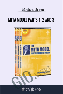 Meta Model Parts 1, 2 and 3 – Michael Breen