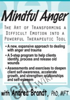 Mindful Anger: The Art of Transforming a Difficult Emotion into a Powerful Therapeutic Tool - Andrea Brandt