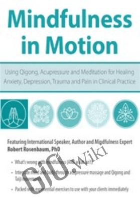 Mindfulness in Motion: Using Qigong, Acupressure and Meditation for Healing Anxiety, Depression, Trauma and Pain in Clinical Practice - Robert Rosenbaum