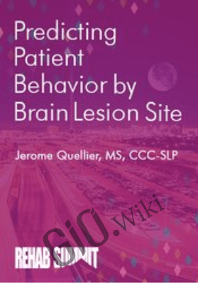 Predicting Patient Behavior by Brain Lesion Site - Jerome Quellier