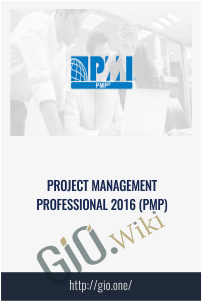 Project Management Professional 2016 (PMP)