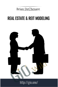 Real Estate & REIT Modeling - Brian DeChesare