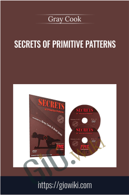 Secrets of Primitive Patterns - Gray Cook