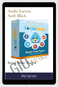 Social Bribe Nulled - Amilie Larson, Andy Black