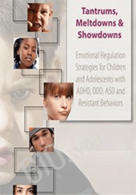 Tantrums, Meltdowns & Showdowns: Emotional Regulation Strategies for Children & Adolescents with ADHD, ODD, ASD and Resistant Behaviors - Susan Epstein