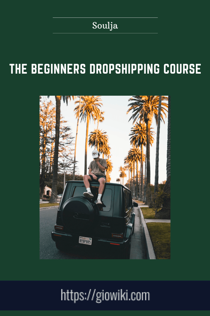 The Beginners Dropshipping Course - Soulja