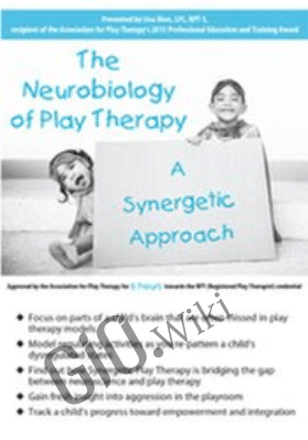 The Neurobiology of Play Therapy: A Synergetic Approach - Lisa Dion