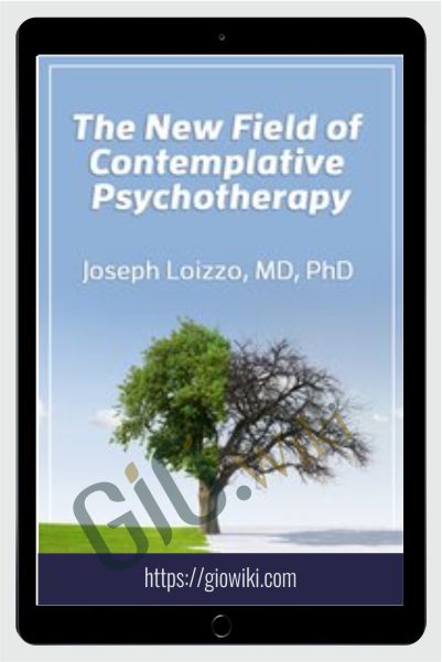 The New Field of Contemplative Psychotherapy - Joseph Loizzo