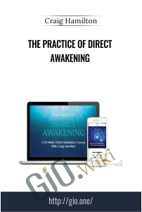 The Practice Of Direct Awakening - Craig Hamilton