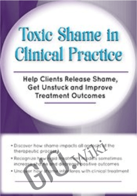 Toxic Shame in Clinical Practice: Help Clients Release Shame, Get Unstuck and Improve Treatment Outcomes - Patti Ashley