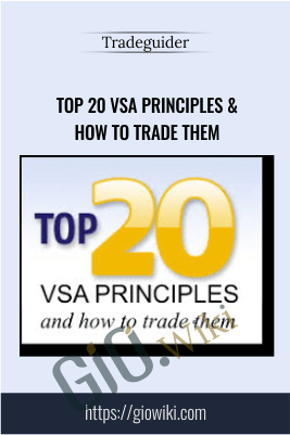 Top 20 VSA Principles & How to Trade Them - TradeGuider