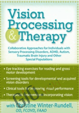 Vision Processing & Therapy: Collaborative Approaches for Individuals with Sensory Processing Disorders, ADHD, Autism, Traumatic Brain Injury & Other Special Populations - Christine Winter-Rundell