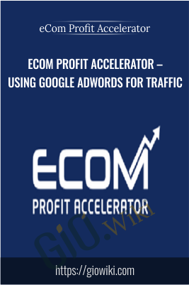 Using Google Adwords for Traffic - eCom Profit Accelerator