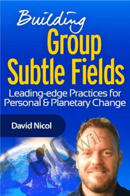 Building Group Subtle Fields - David Nicol