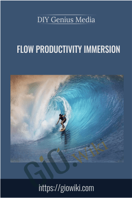 Flow Productivity Immersion - DIY Genius Media