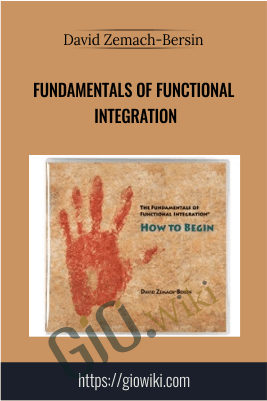 Fundamentals of Functional Integration - David Zemach-Bersin