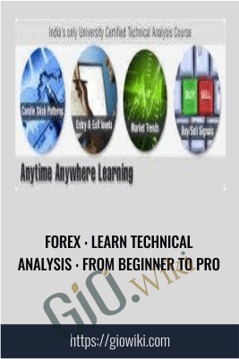 FOREX : Learn Technical Analysis : From Beginner To Pro