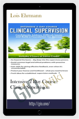 Intensive 2 Day Lois Ehrmann Clinical Supervision - Lois Ehrmann