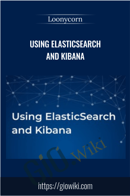 Using Elasticsearch and Kibana - Loonycorn