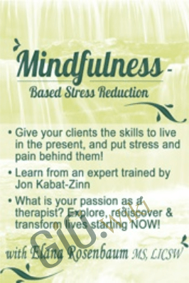 Mindfulness Based Stress Reduction - Elana Rosenbaum