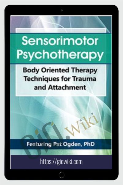 Sensorimotor Psychotherapy: Body Oriented Therapy Techniques for Trauma and Attachment - Pat Ogden
