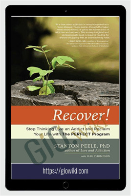 Recover!: Stop Thinking Like an Addict and Redaim Your Life with The PERFECT Program – Stanton Peel, Use Thompson