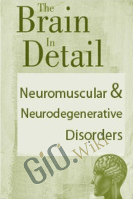 The Brain in Detail: Neuromuscular & Neurodegenerative Disorders - Bonita Gordon & Sean G. Smith
