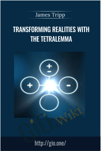 Transforming Realities with The Tetralemma