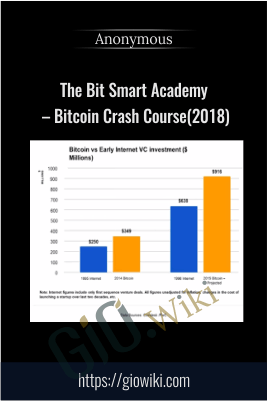 The Bit Smart Academy – Bitcoin Crash Course(2018)