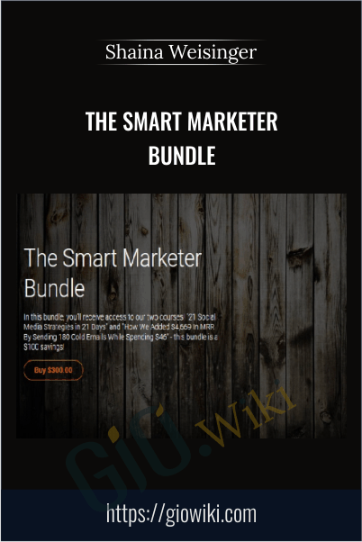The Smart Marketer Bundle – Shaina Weisinger