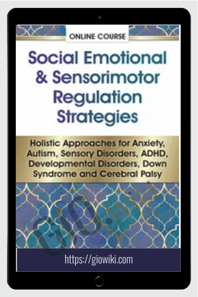 Social Emotional & Sensorimotor Regulation Strategies: Holistic Approaches for Anxiety, Autism, Sensory Disorders, ADHD, Developmental Disorders, Down Syndrome and Cerebral Palsy - Kathee Cammisa
