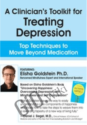 A Clinician's Toolkit for Treating Depression: Top Techniques to Move Beyond Medication - Elisha Goldstein