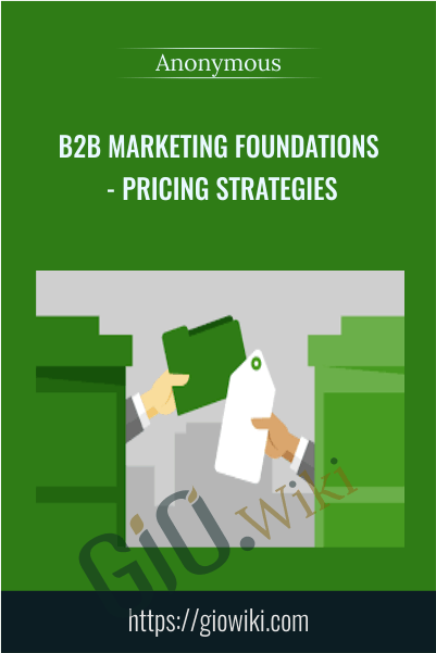 B2B Marketing Foundations - Pricing Strategies