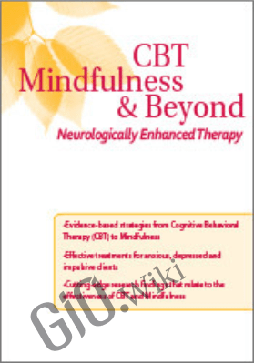 CBT, Mindfulness, and Beyond: Neurologically Enhanced Therapy - Kate Cohen-Posey