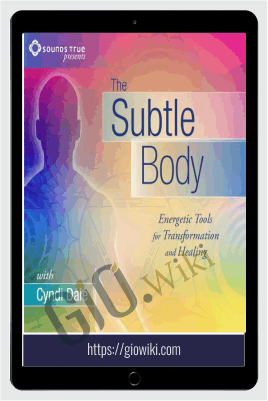 The Subtle Body Training Course - Cyndi Dale