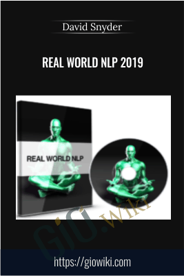 Real World NLP 2019 – David Snyder