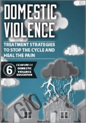 Domestic Violence: Treatment Strategies to Stop the Cycle and Heal the Pain - Joan Benz