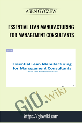 Essential Lean Manufacturing for Management Consultants - Asen Gyczew