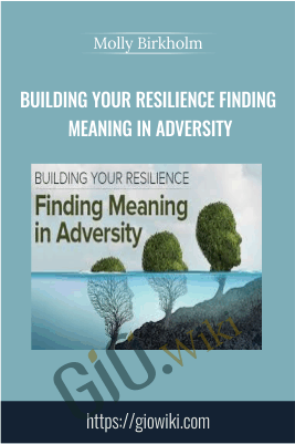 Building Your Resilience Finding Meaning in Adversity - Molly Birkholm